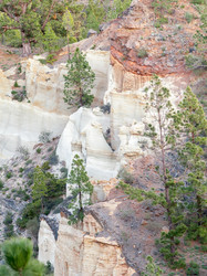 Similar image 22011735