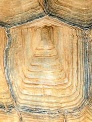 Similar image 22011738