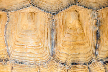 Similar image 22011740