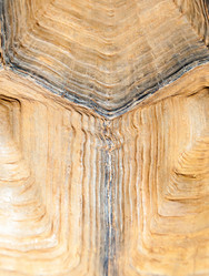 Similar image 22011742