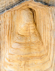 Similar image 22011744