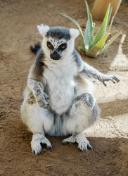 Similar image 22011746