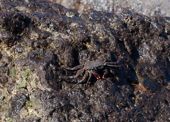 Similar image 22011769