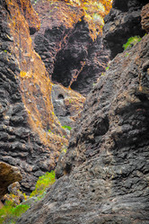 Similar image 22011771