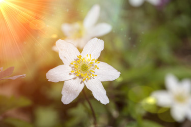 Similar image 22014813