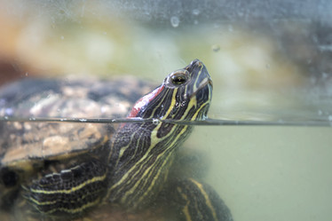 Similar image 22014820