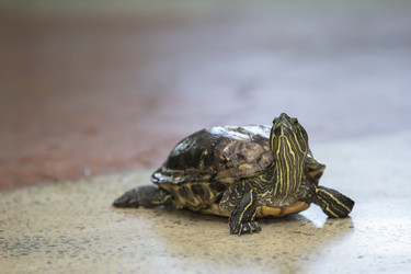 Similar image 22014821