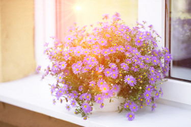 Similar image 22014829