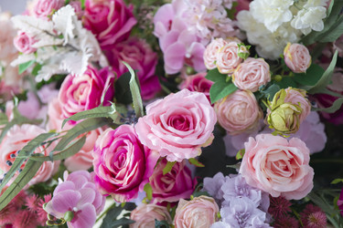 Similar image 22014831