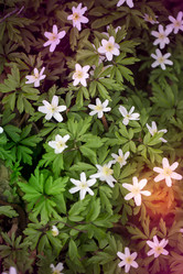 Similar image 22014840