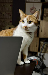 Similar image 22008046