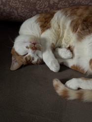 Similar image 22008048