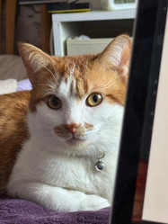 Similar image 22008049