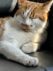 Similar image 22008050