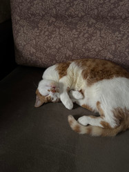 Similar image 22008051