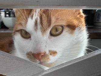 Similar image 22008052