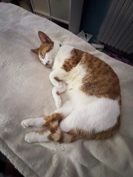 Similar image 22008054