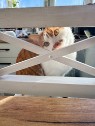 Similar image 22008055