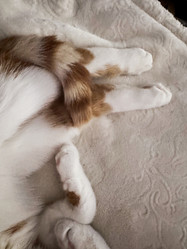 Similar image 22008056