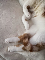 Similar image 22008057