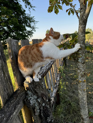 Similar image 22008060