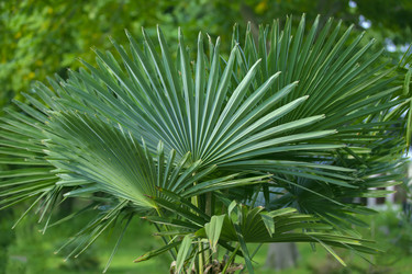 Similar image 22014644