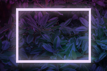 Similar image 22014651