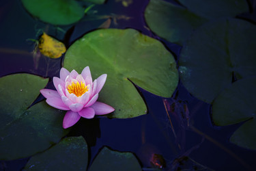 Similar image 22014652