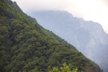 Similar image 22014658