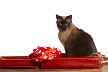 Similar image 22014659