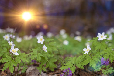 Similar image 22014667