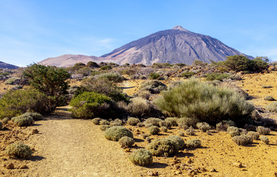 Similar image 22012001