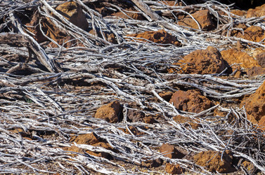 Similar image 22012007