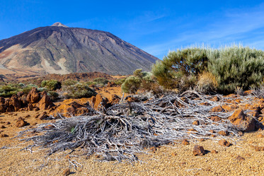 Similar image 22012009