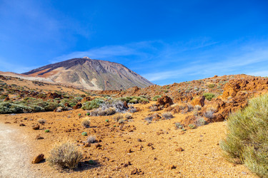 Similar image 22012051