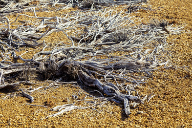 Similar image 22012053