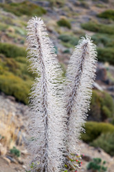 Similar image 22012250