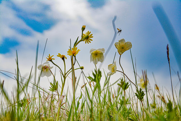 Similar image 22014523