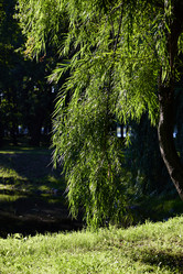 Similar image 22014417