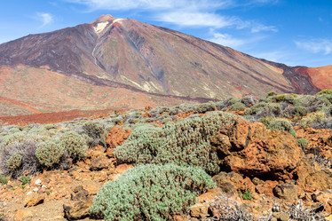 Similar image 22011947