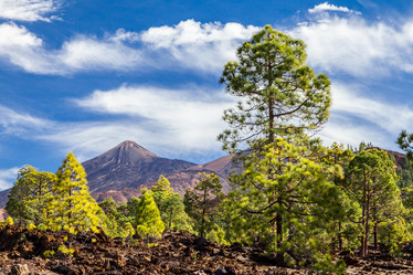 Similar image 22011956