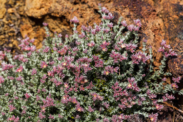 Similar image 22012012