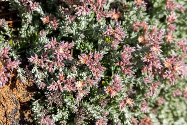 Similar image 22012013