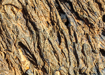 Similar image 22012015