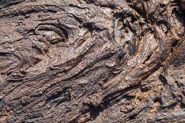 Similar image 22012018