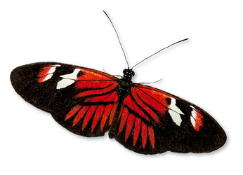 Similar image 22012022