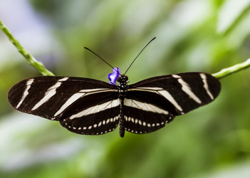 Similar image 22012023