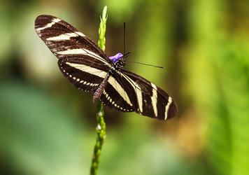 Similar image 22012059