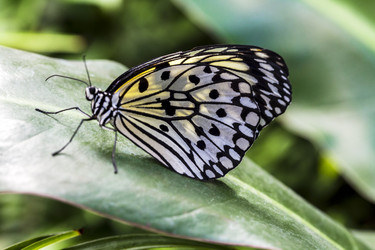 Similar image 22012061