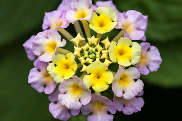 Similar image 22012062